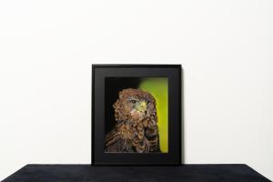 Dancing With Feathers