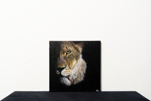 Lioness Rules
